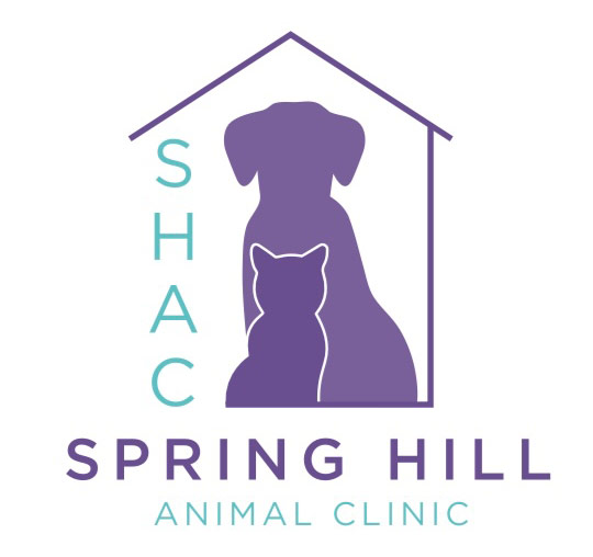 Spring Hill Animal Clinic